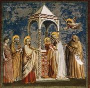 GIOTTO di Bondone Presentation of Christ at the Temple Spain oil painting artist